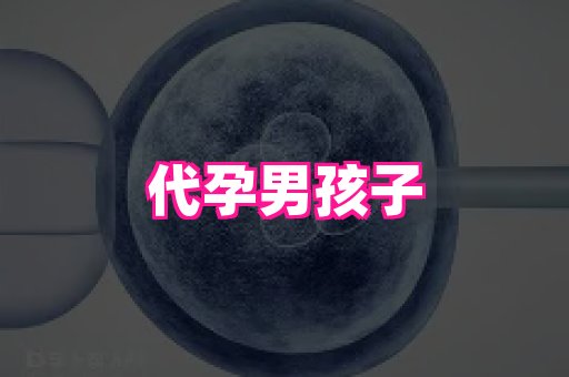 武汉助孕网站 2