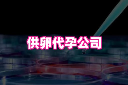 武汉助孕网站 3